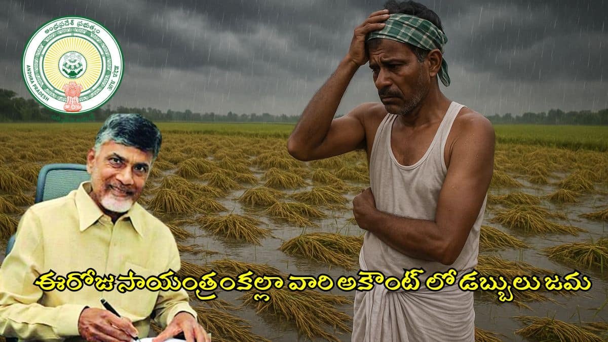 AP Farmers Compensation Released