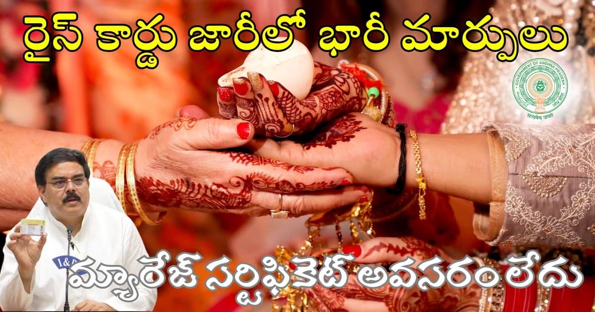 AP Rice Card Splitting Options 2025
