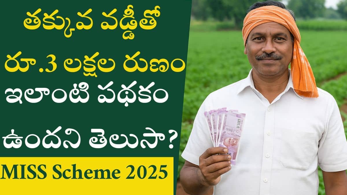 MISS Scheme 2025