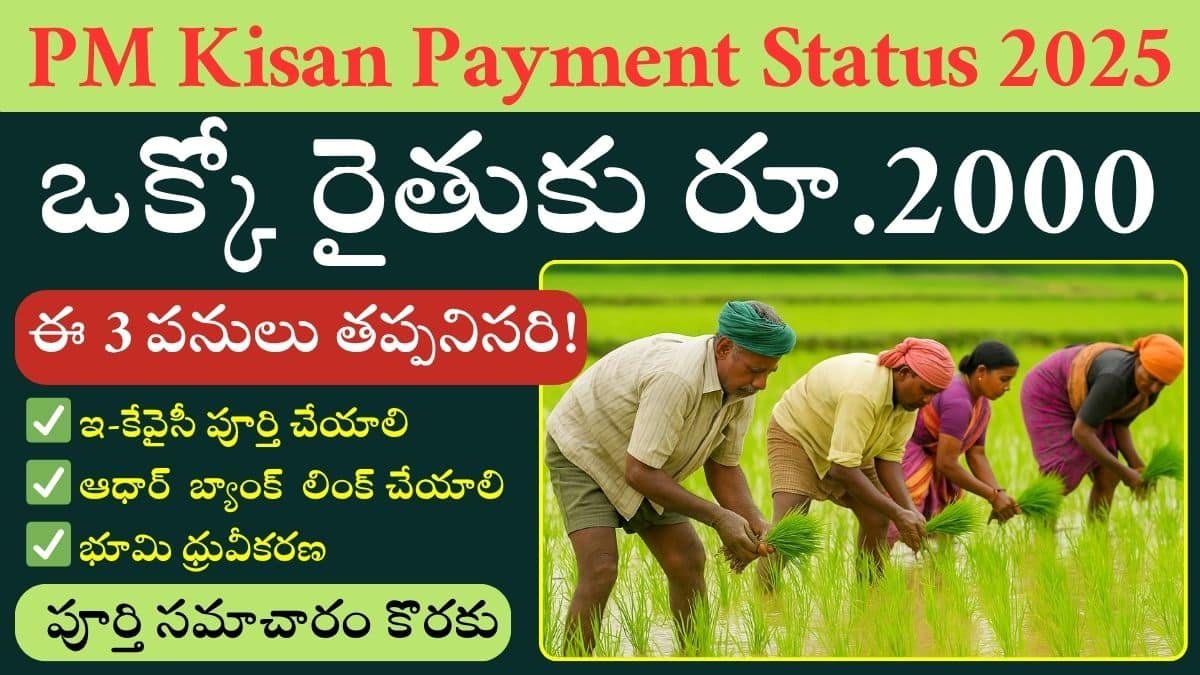 PM Kisan Payment Status 2025