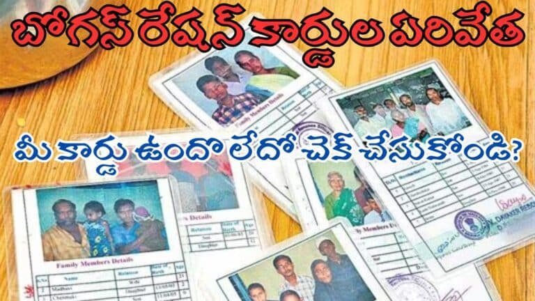 AP New Ration Card Survey 2025AP New Ration Card Survey 2025