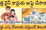 New Rice Card Approval Time Rules 2025
