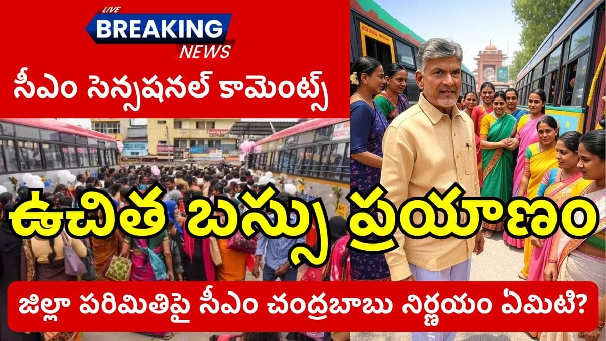 AP Free Bus For Women District Limit CM Decision