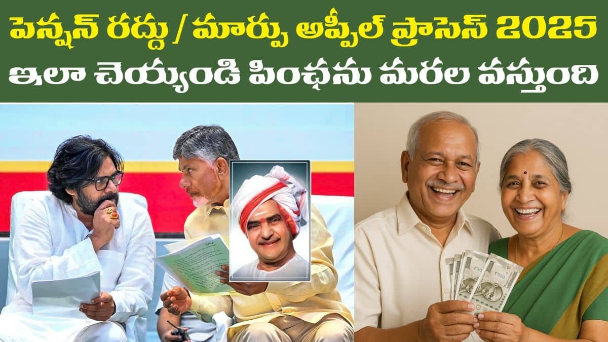 Pension Cancellation Change Appeal Process 2025
