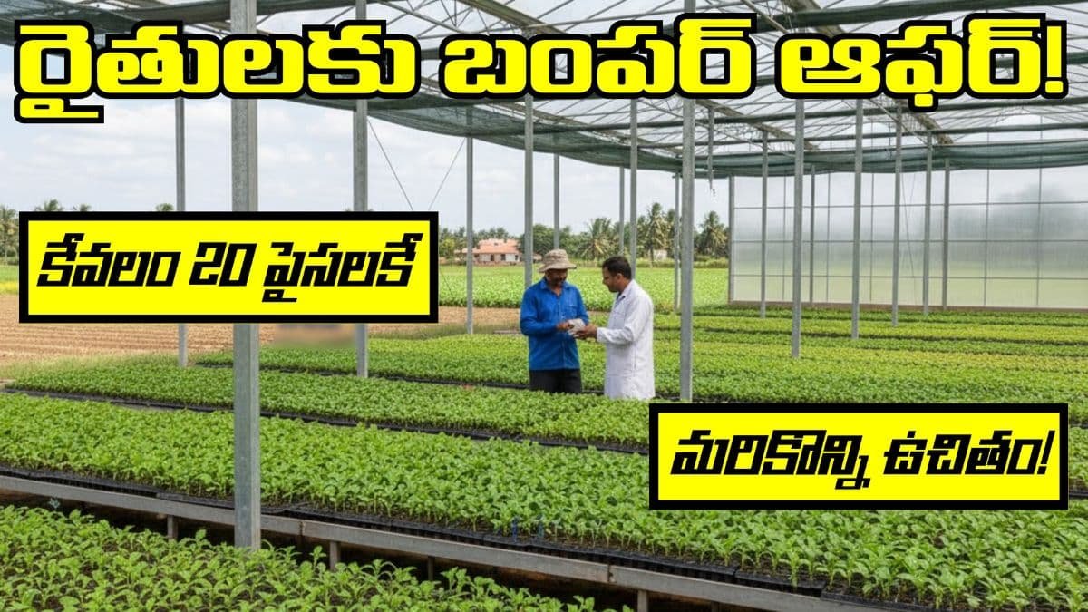 Farmers Kuppam Center of excellence Vegetable Seedlings offer