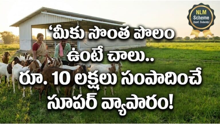 10 Lakhs Frofit Business Idea Details in Telugu