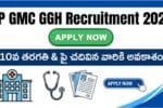 AP GMC GGH Recruitment 2025
